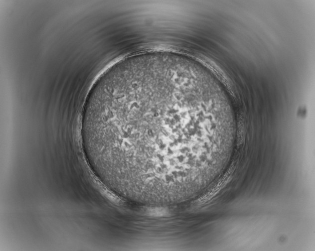 X0000099300798200805231340