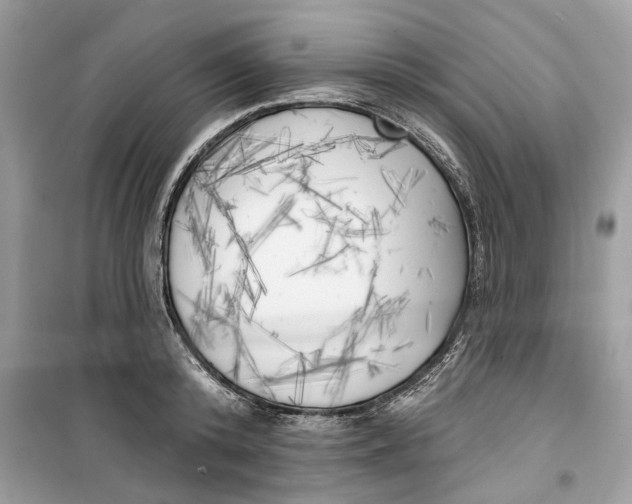 X0000099300800200805231340