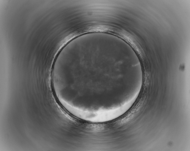 X0000099300802200805231340