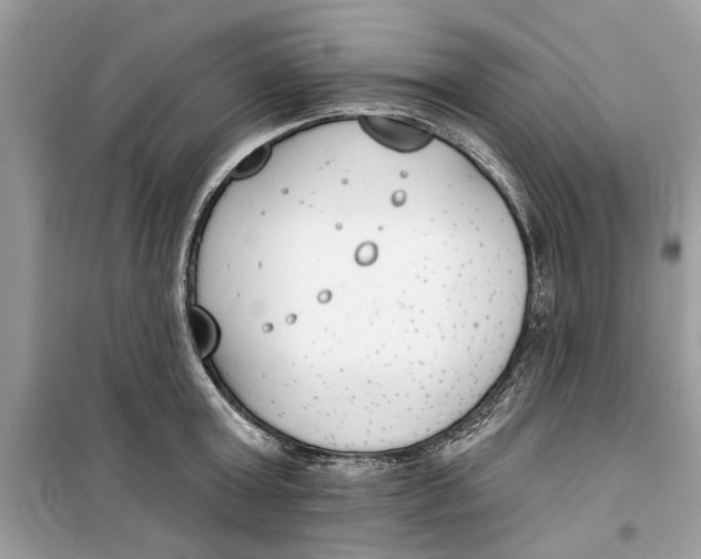 X0000099300803200805231340