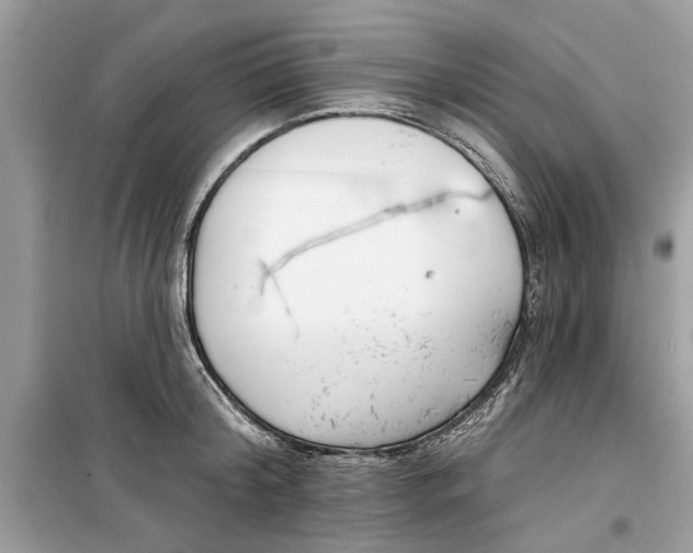 X0000099300804200805231340