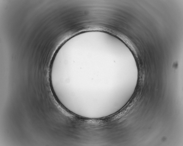 X0000099300805200805231340