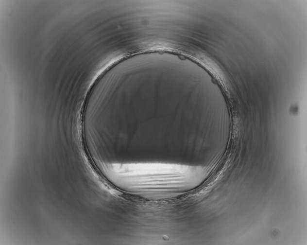 X0000099300806200805231340