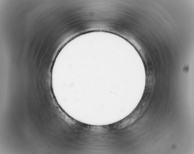 X0000099300807200805231340