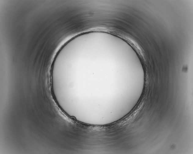 X0000099300808200805231340