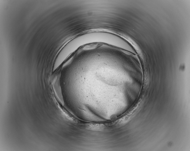 X0000099300809200805231340