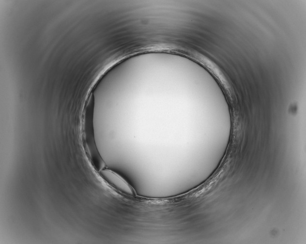 X0000099300810200805231340