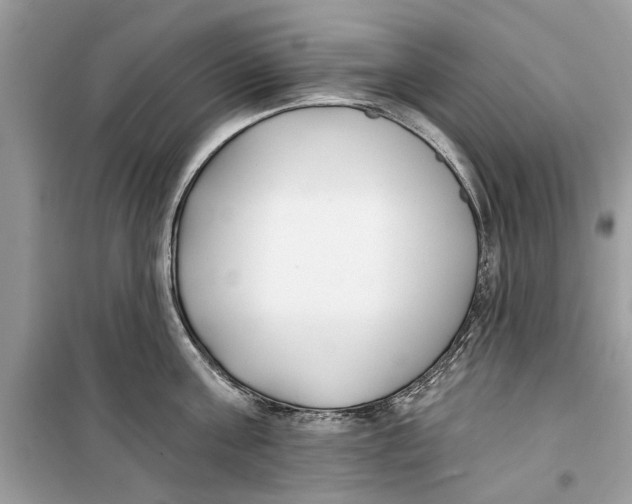 X0000099300811200805231340