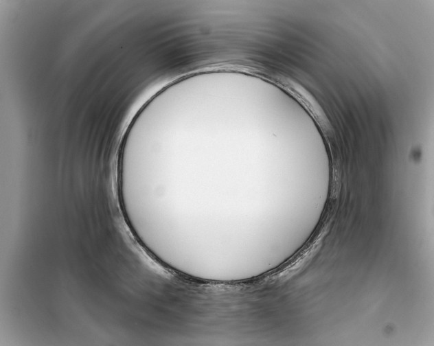 X0000099300812200805231340