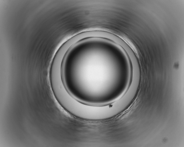 X0000099300813200805231340