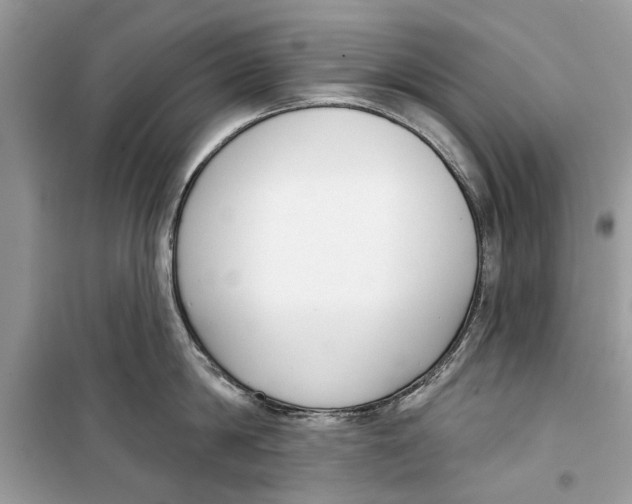 X0000099300814200805231340