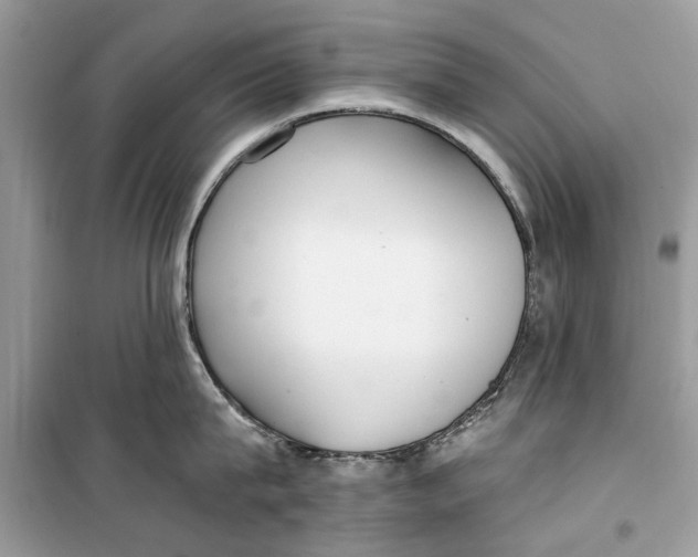 X0000099300815200805231340