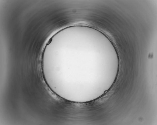 X0000099300816200805231340