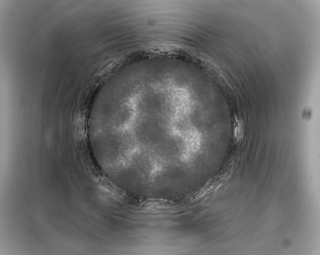 X0000099300819200805231340