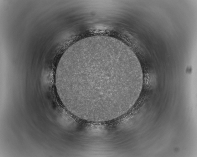 X0000099300820200805231340