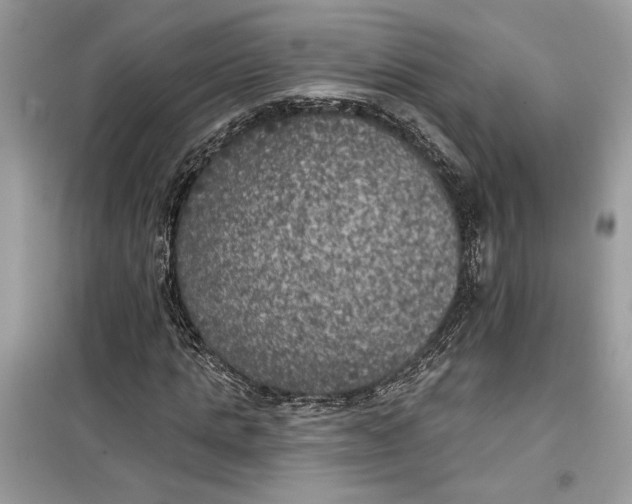 X0000099300821200805231340