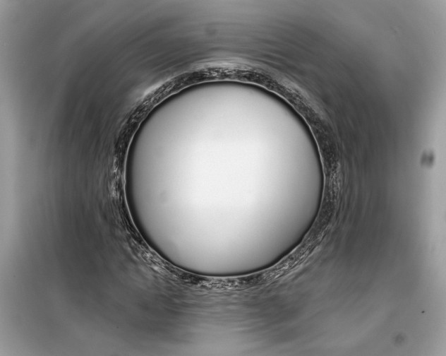 X0000099300822200805231340