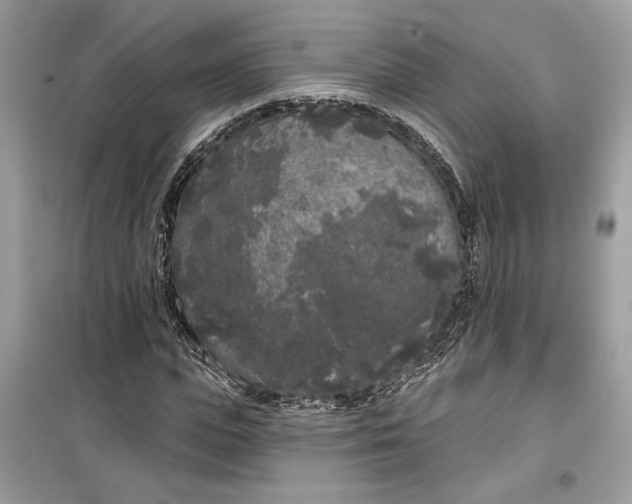 X0000099300823200805231340