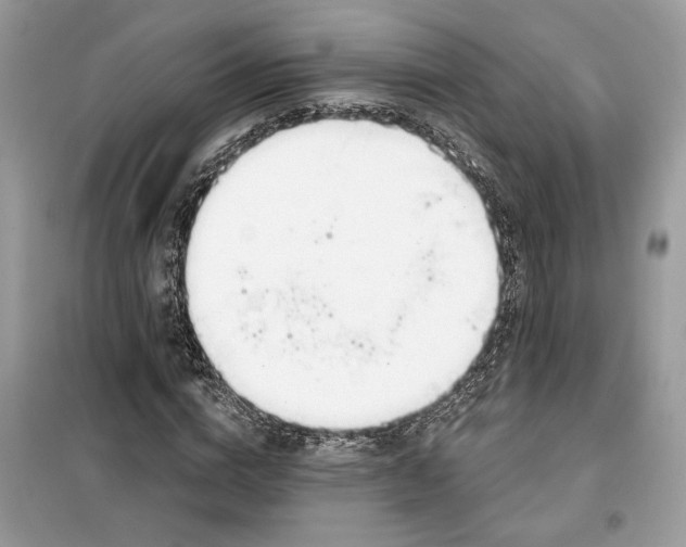 X0000099300824200805231340