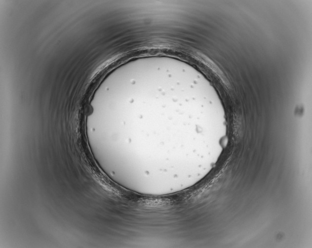 X0000099300826200805231340