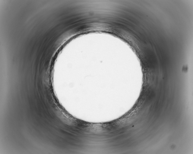 X0000099300828200805231340