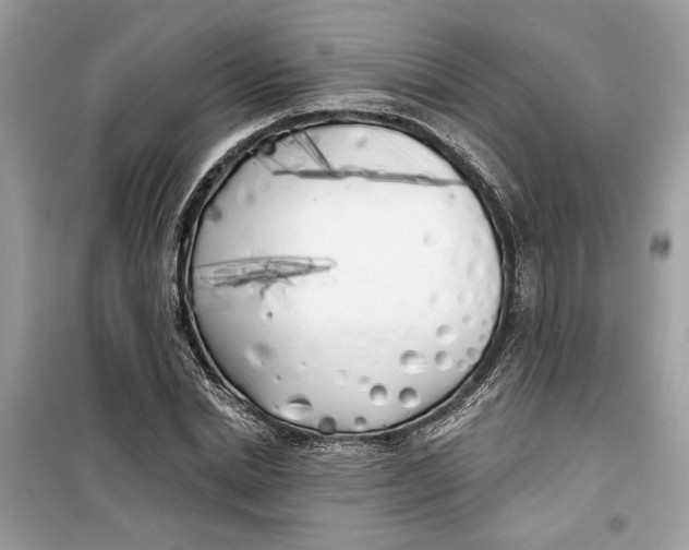 X0000099300830200805231340