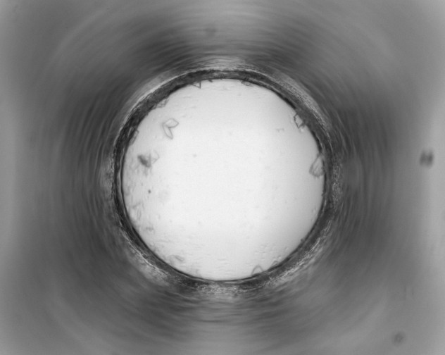 X0000099300831200805231340