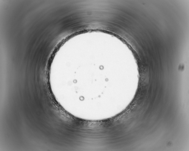 X0000099300832200805231340