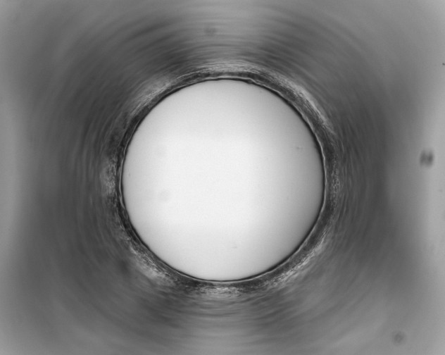 X0000099300833200805231340