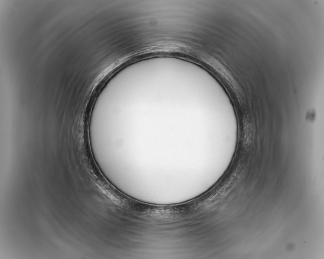 X0000099300834200805231340