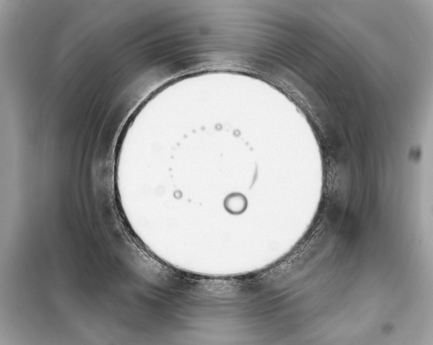 X0000099300836200805231340