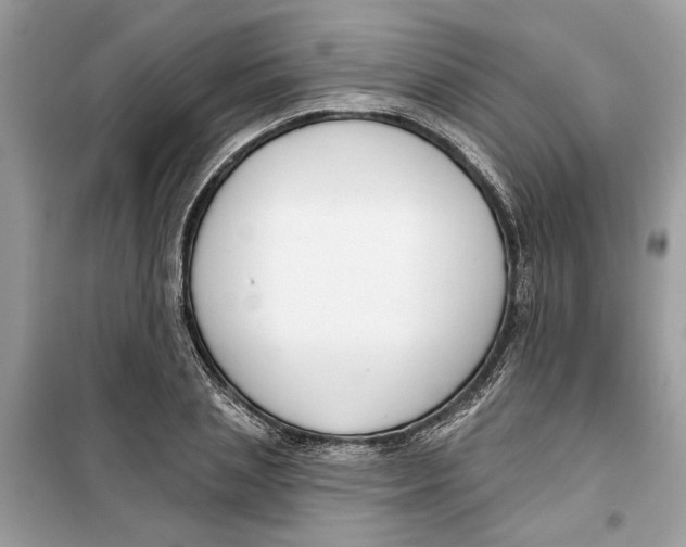 X0000099300837200805231340