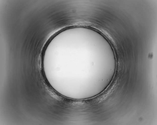 X0000099300838200805231340