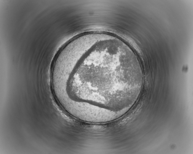 X0000099300839200805231340