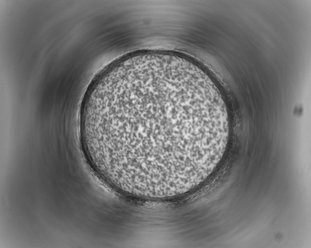 X0000099300840200805231340