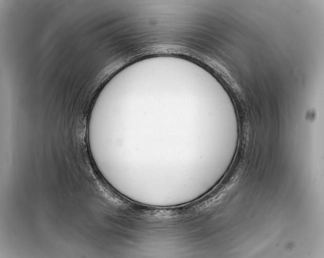 X0000099300841200805231340