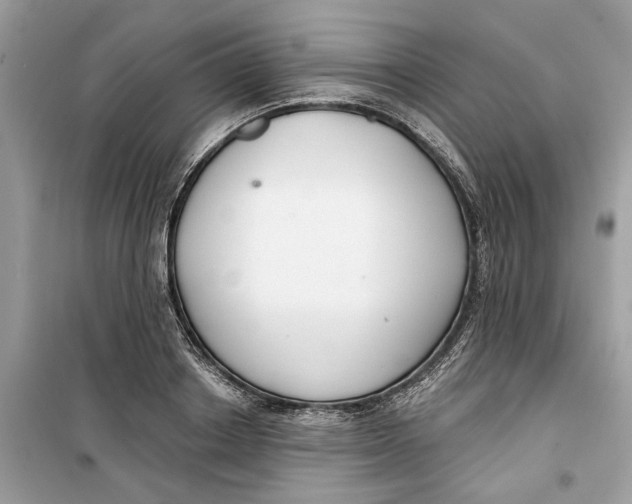 X0000099300842200805231340