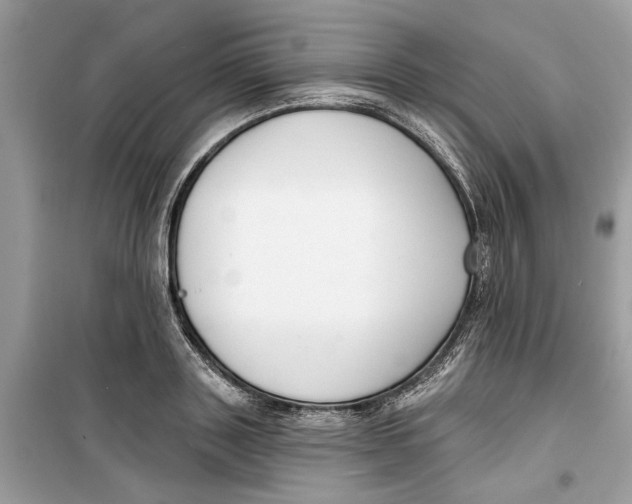 X0000099300843200805231340