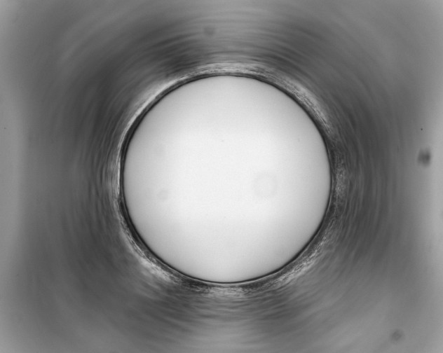 X0000099300844200805231340