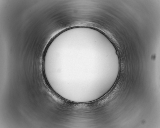 X0000099300846200805231340