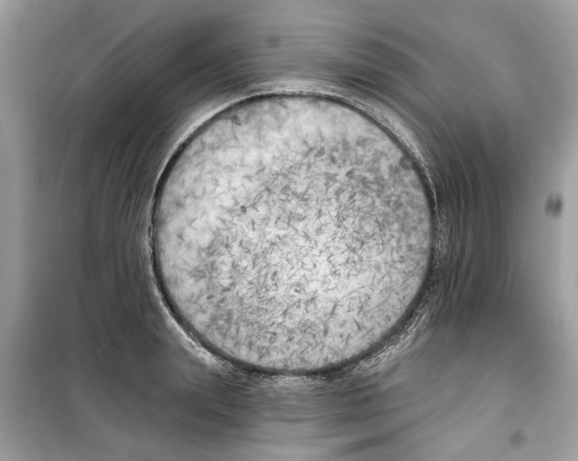 X0000099300847200805231340