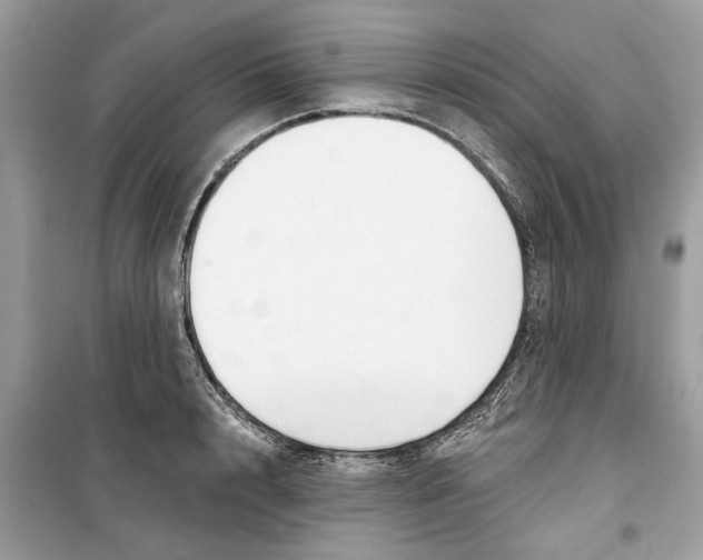 X0000099300848200805231340