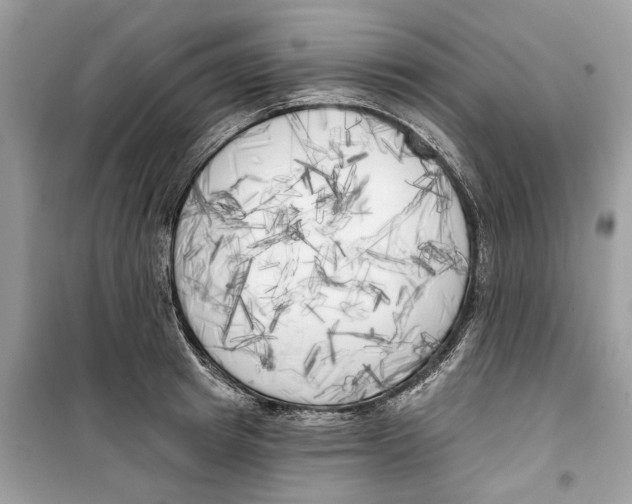 X0000099300849200805231340