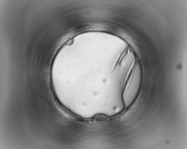 X0000099300850200805231340