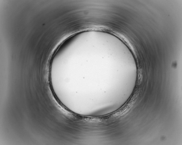 X0000099300851200805231340