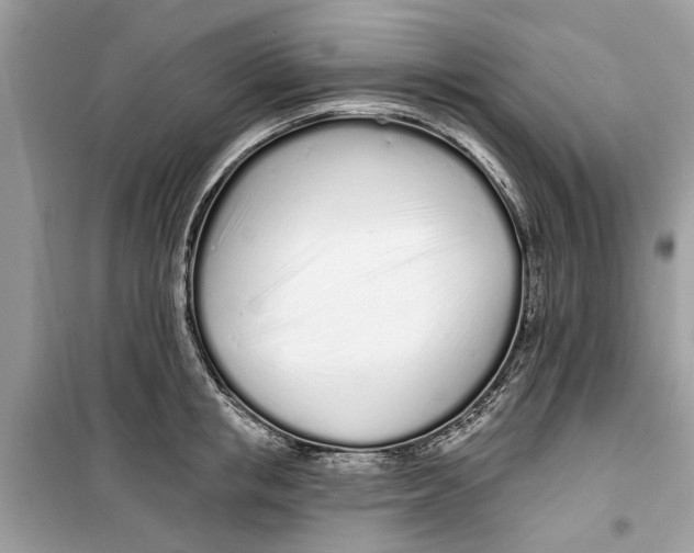 X0000099300853200805231340