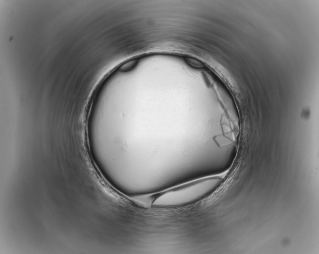 X0000099300854200805231340