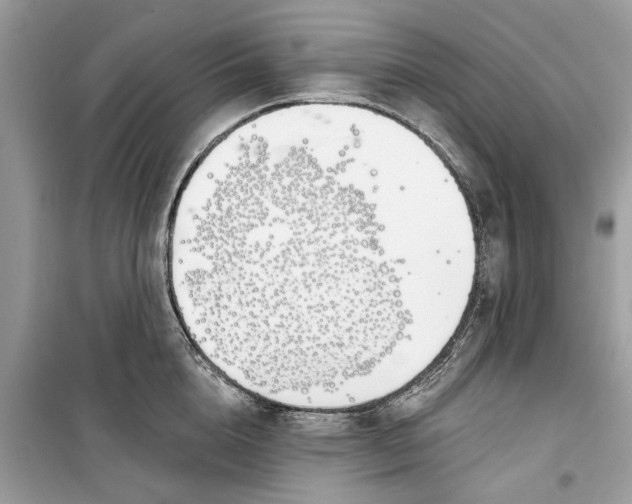 X0000099300856200805231340