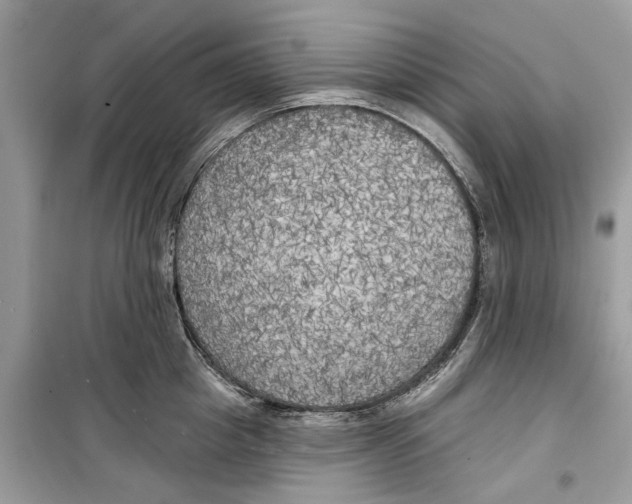 X0000099300857200805231340