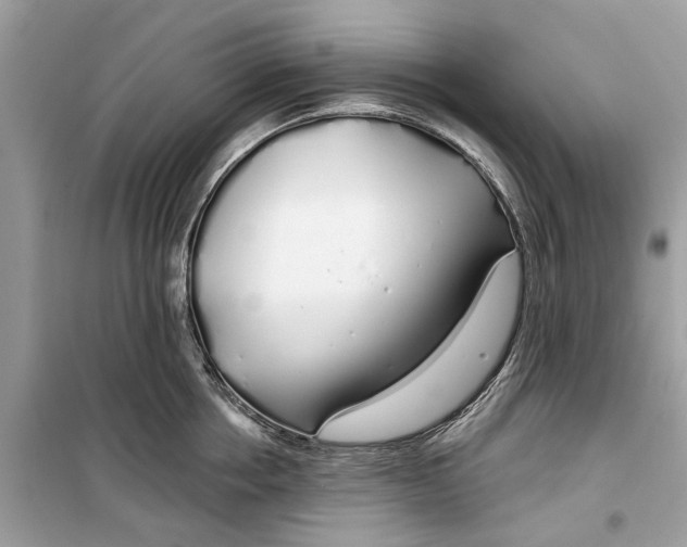 X0000099300858200805231340